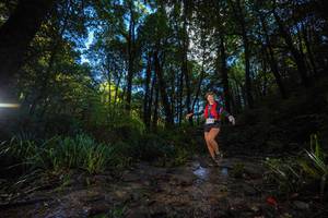 BIB: 
                            <button type="button" onclick="openModal(19233587)" class="btn btn-primary btn-sm float-right btn-popup" data-toggle="modal" data-target=".modal-high-quality">
                        <i class="fas fa-shopping-cart"></i> Add to Cart
                    </button>
                                            <button type="button" onclick="isThisMe(19233587, true)" class="btn btn-success btn-sm float-right btn-popup btn-isme hidden" data-toggle="tooltip" data-placement="bottom" title="นี่คือรูปของคุณใช่ไหม คลิกที่นี่เพื่อเอาเข้าอัลบั้ม">
                        <i class="fas fa-plus"></i> Add to album
                    </button>
                    <button type="button" onclick="isThisMe(19233587, false)" class="btn btn-warning btn-sm float-right btn-popup btn-isnotme hidden">
                        <i class="fas fa-ban"></i> Remove from album
                    </button>